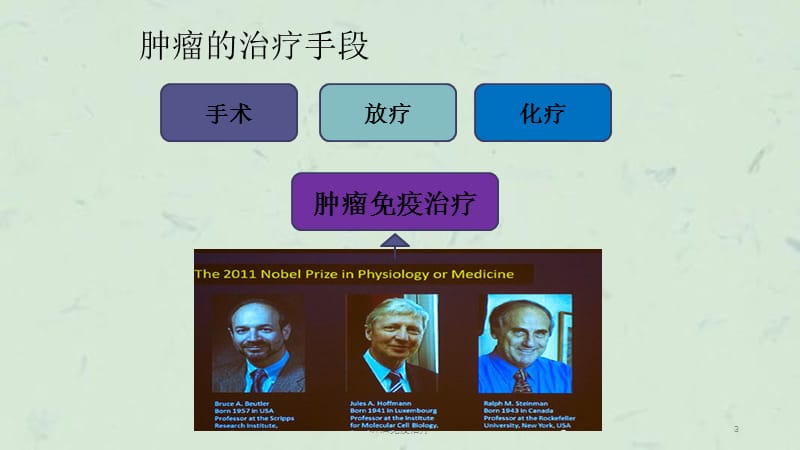 肿瘤免疫治疗课件.ppt_第3页