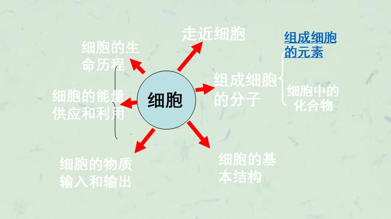 人教版高一生物必修一前两章知识点整理课件.ppt_第1页