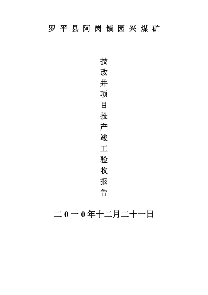 煤矿技改井投产项目竣工验收报告.doc_第1页