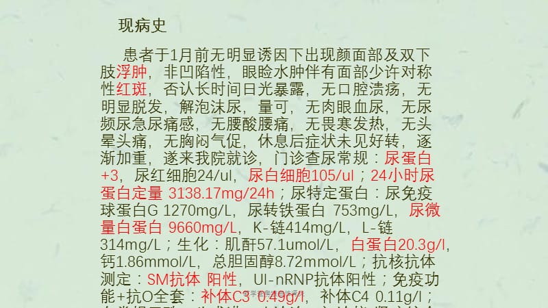 教学查房狼疮性肾炎课件.ppt_第3页