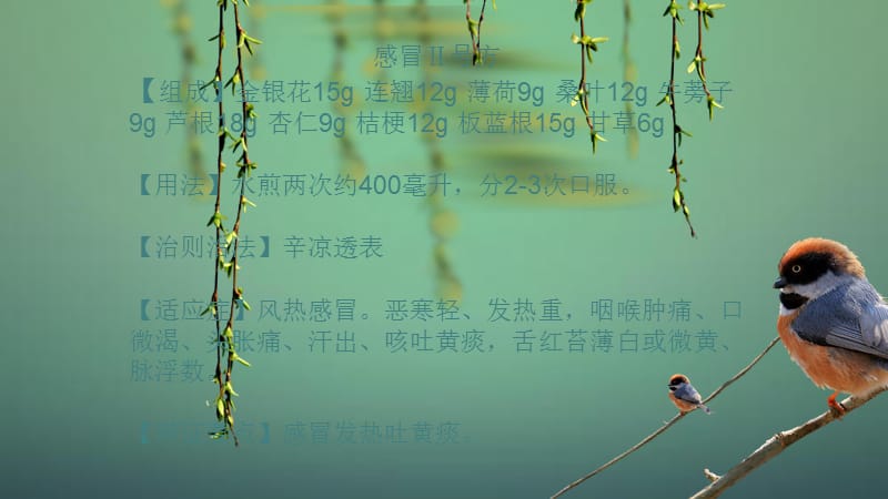 感冒首选中药诊疗方案.ppt_第2页