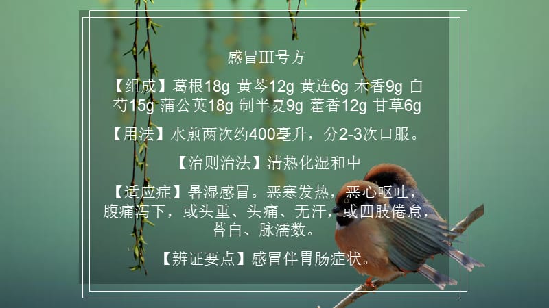 感冒首选中药诊疗方案.ppt_第3页