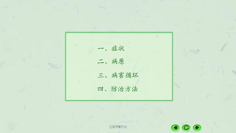 瓜类病害防治课件.ppt_第3页