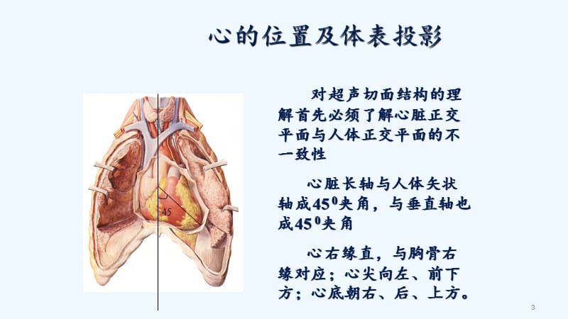 心脏超声常用切面及解剖.pptx_第3页