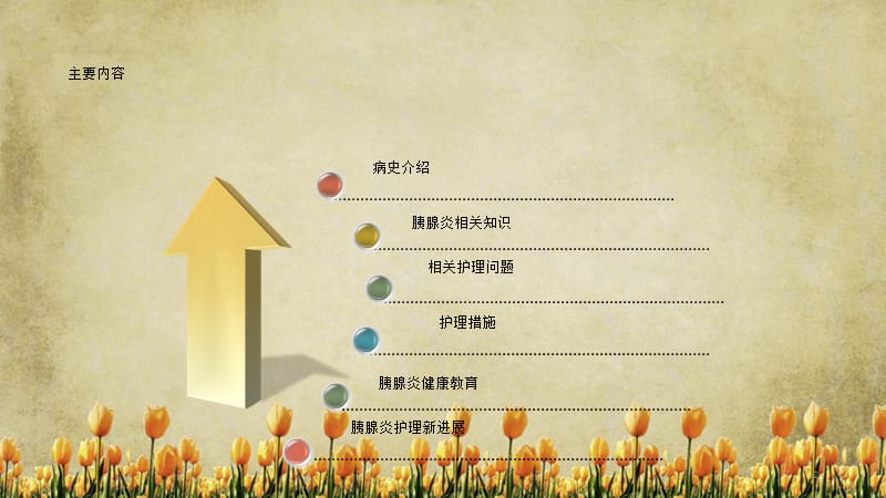 急性胰腺炎护理（精选).ppt_第2页