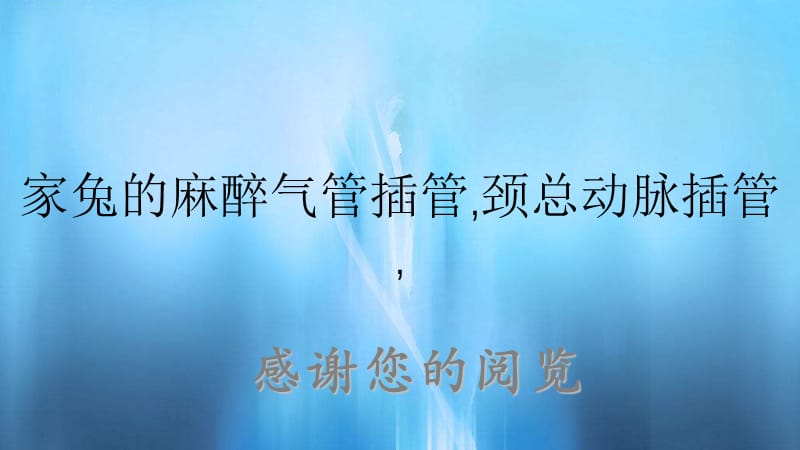 家兔的麻醉气管插管,颈总动脉插管,.ppt_第1页