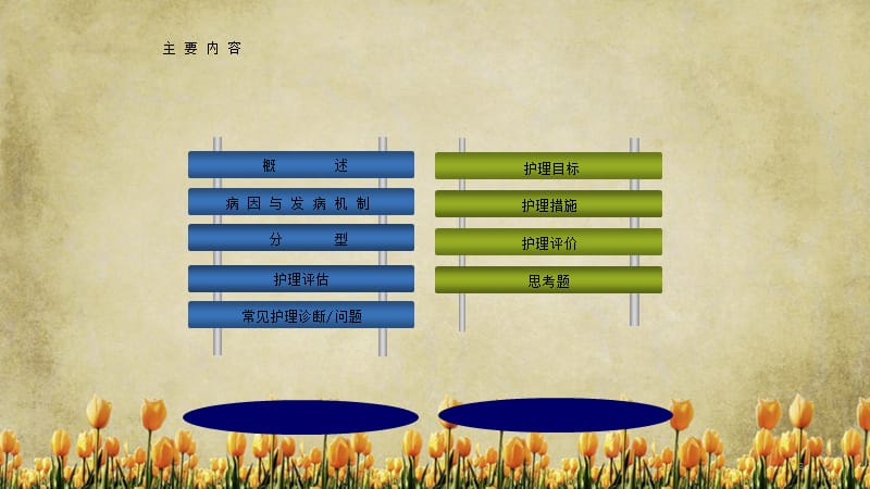 急性胰腺炎病人的护理（精选).ppt_第3页