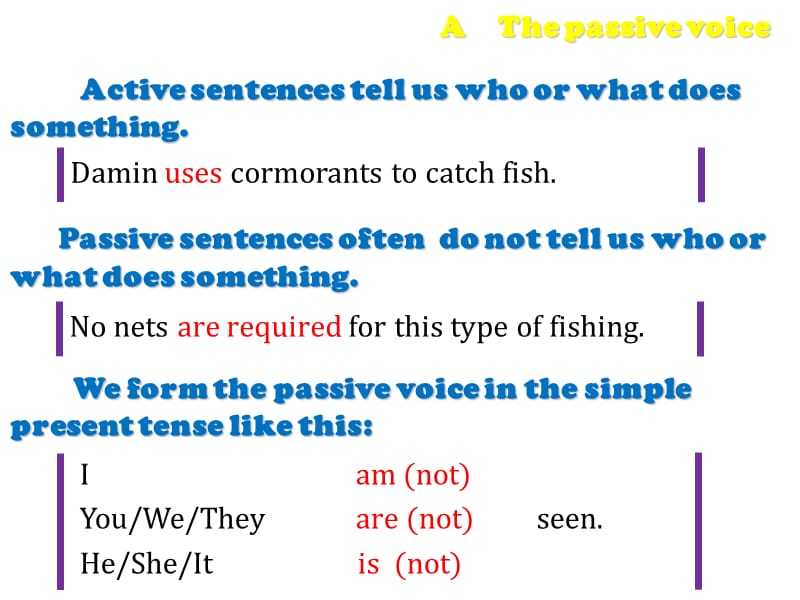 U3 Grammar.ppt_第2页