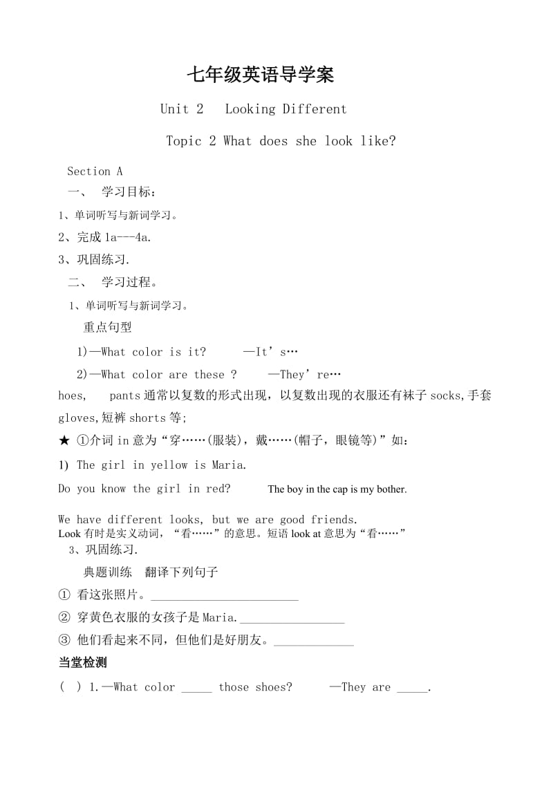 Topic 2 What does she look like.doc_第1页