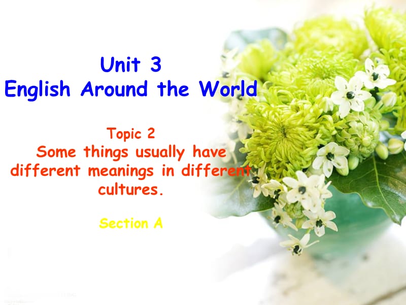 Unit3 Topic 2 Section A.ppt_第1页