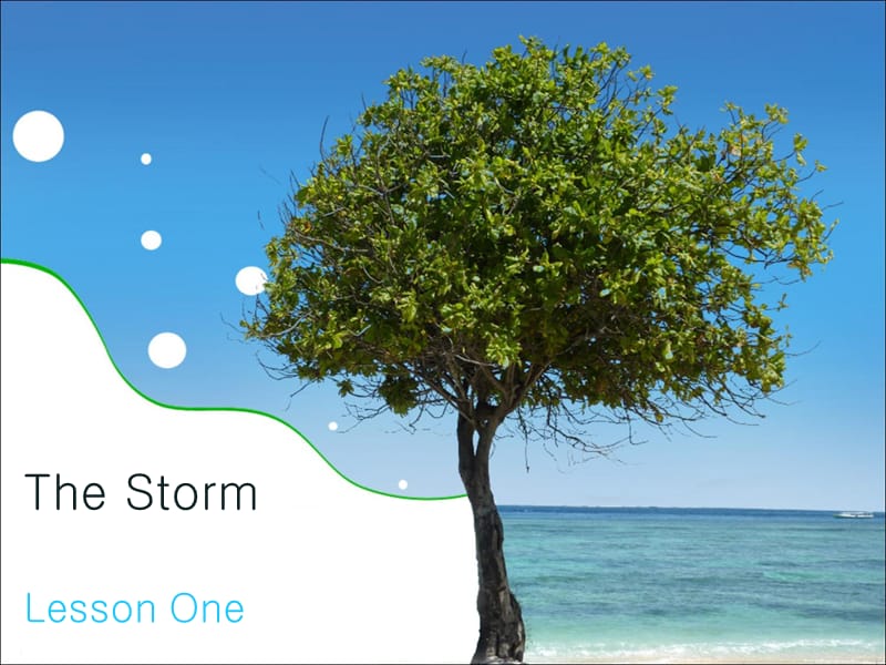 The StormLesson One.ppt_第1页