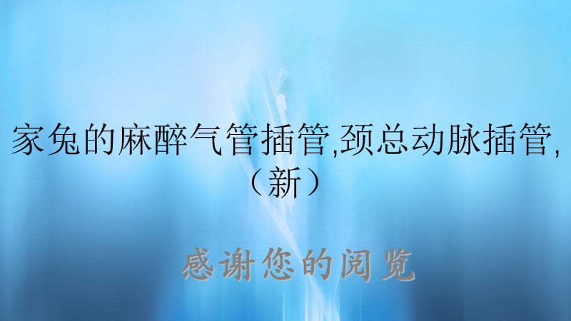 家兔的麻醉气管插管,颈总动脉插管,（新）.ppt_第1页