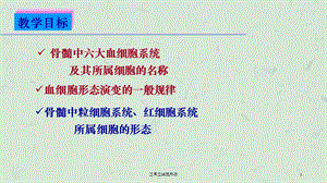 正常血细胞形态课件.ppt