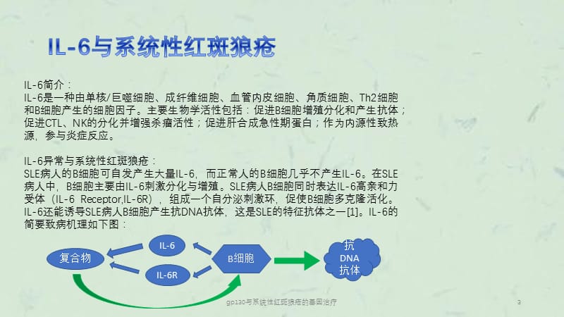 gp130与系统性红斑狼疮的基因治疗课件.pptx_第3页