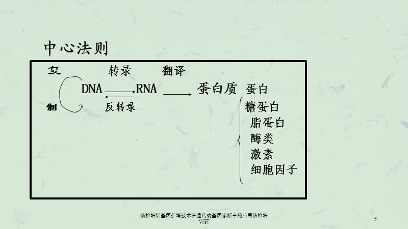 临检培训基因扩增技术在遗传病基因诊断中的应用临检培训班课件.ppt_第3页