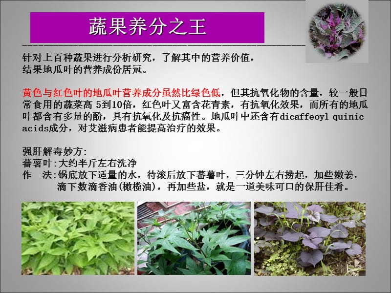 最新蔬菜与养生.ppt_第2页