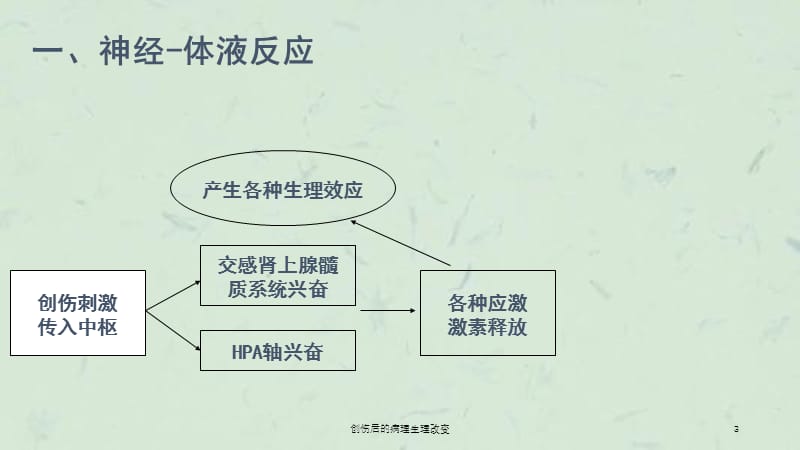 创伤后的病理生理改变课件.ppt_第3页