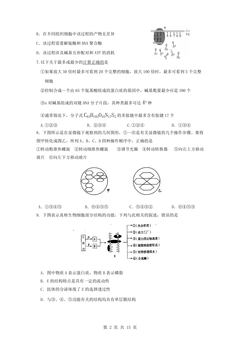 2010年高考生物模拟题.doc_第2页