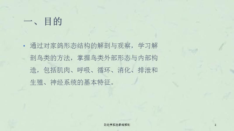 动物学实验家鸽解剖课件.ppt_第2页