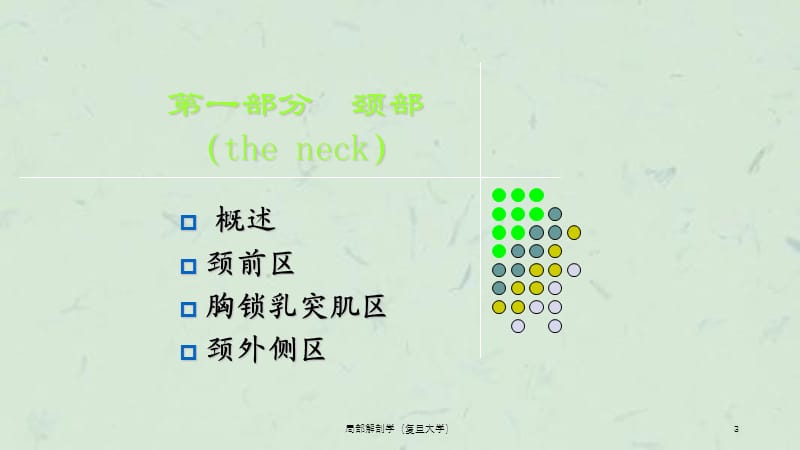 局部解剖学（复旦大学）课件.ppt_第3页