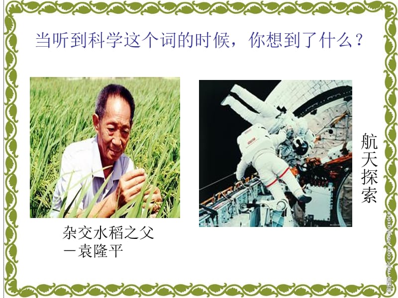 最新《科学是……》.ppt_第2页