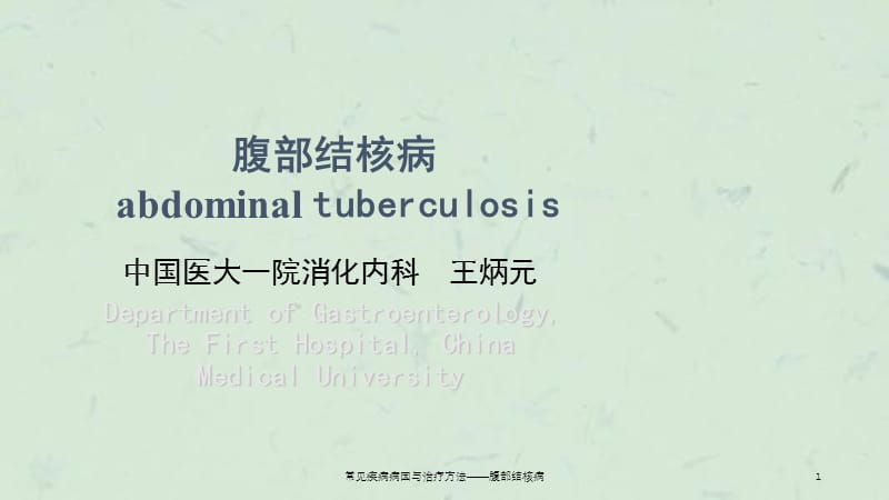 常见疾病病因与治疗方法——腹部结核病课件.ppt_第1页