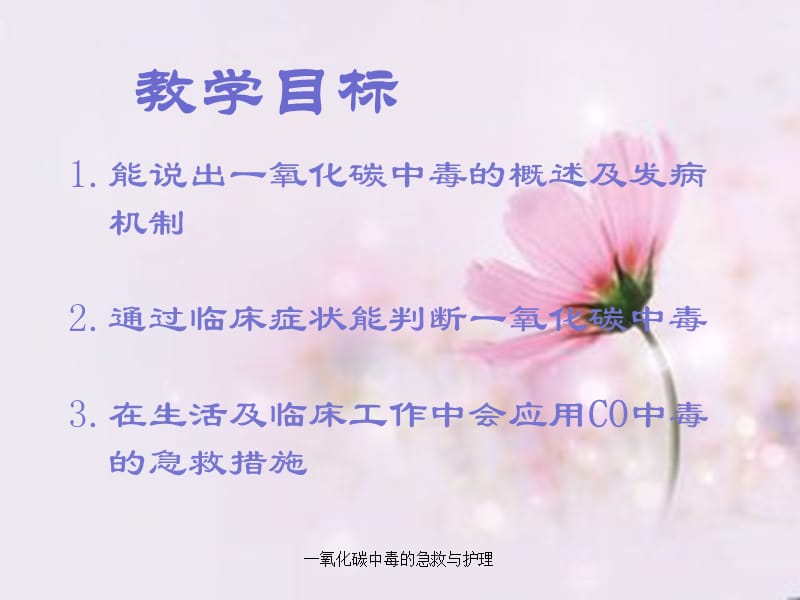 一氧化碳中毒的急救与护理（经典实用）.ppt_第2页