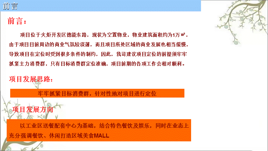 开发区商业项目定位方案课件.ppt_第2页