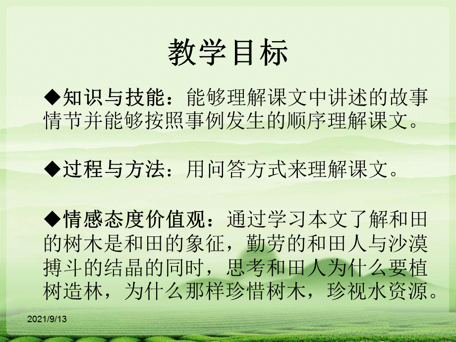 和田的树（阿依古丽·甫拉提）.ppt.ppt_第3页