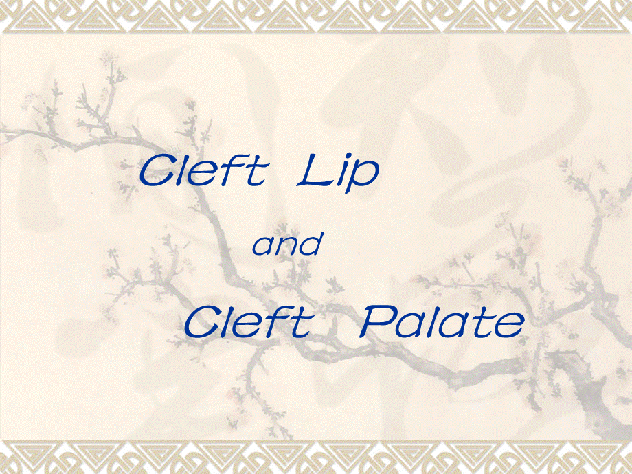 唇裂腭裂CLEFT LIP AND PALATE.ppt.ppt_第1页