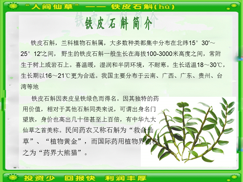 764837193铁皮石斛温室大棚种植技术.ppt_第2页