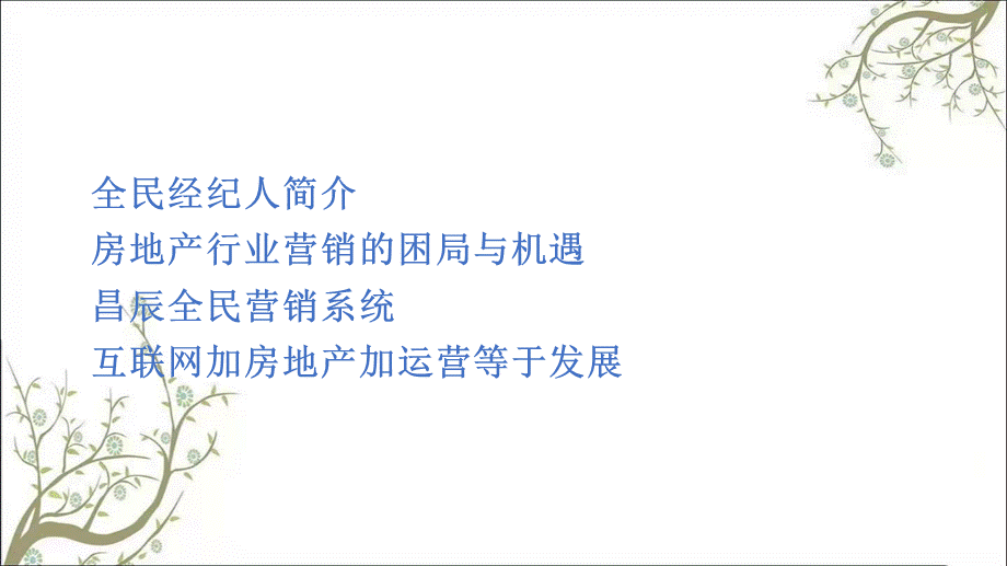 昌辰全民经纪人推广方案课件.ppt_第2页