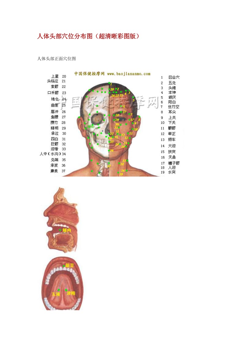 人体头部穴位分布图（超清晰彩图版）.doc_第1页