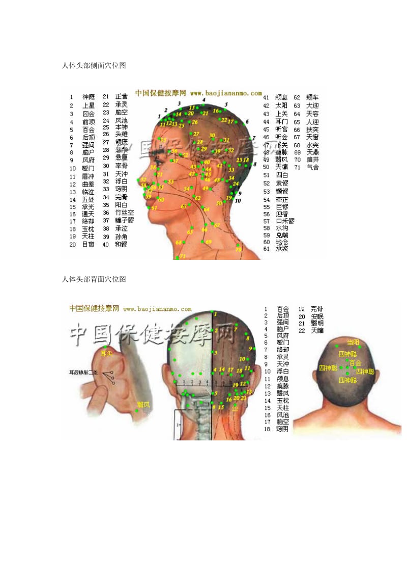 人体头部穴位分布图（超清晰彩图版）.doc_第2页