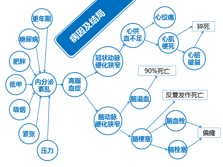 动脉硬化的动物模型教程.ppt_第2页