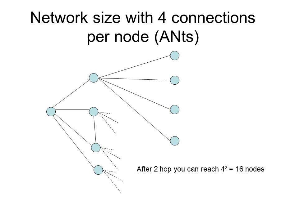 ANtsMUTE.ppt_第2页