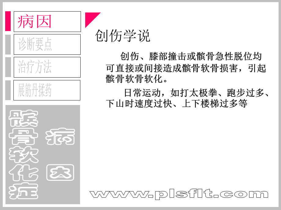 髌骨软化症讲课.ppt_第2页