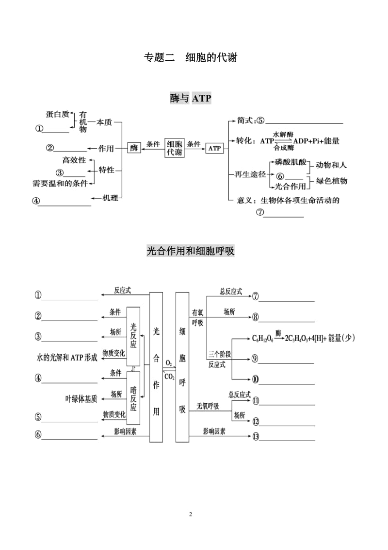 高三生物二轮复习知识网络图.doc_第2页