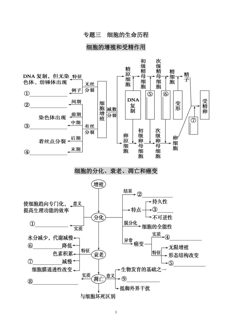 高三生物二轮复习知识网络图.doc_第3页