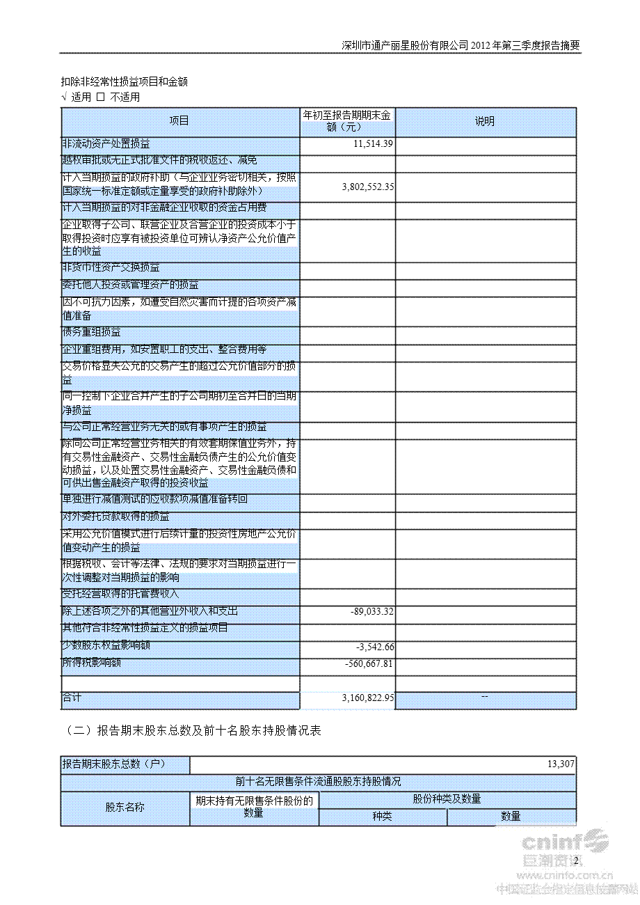 通产丽星：第三季度报告正文.ppt_第2页