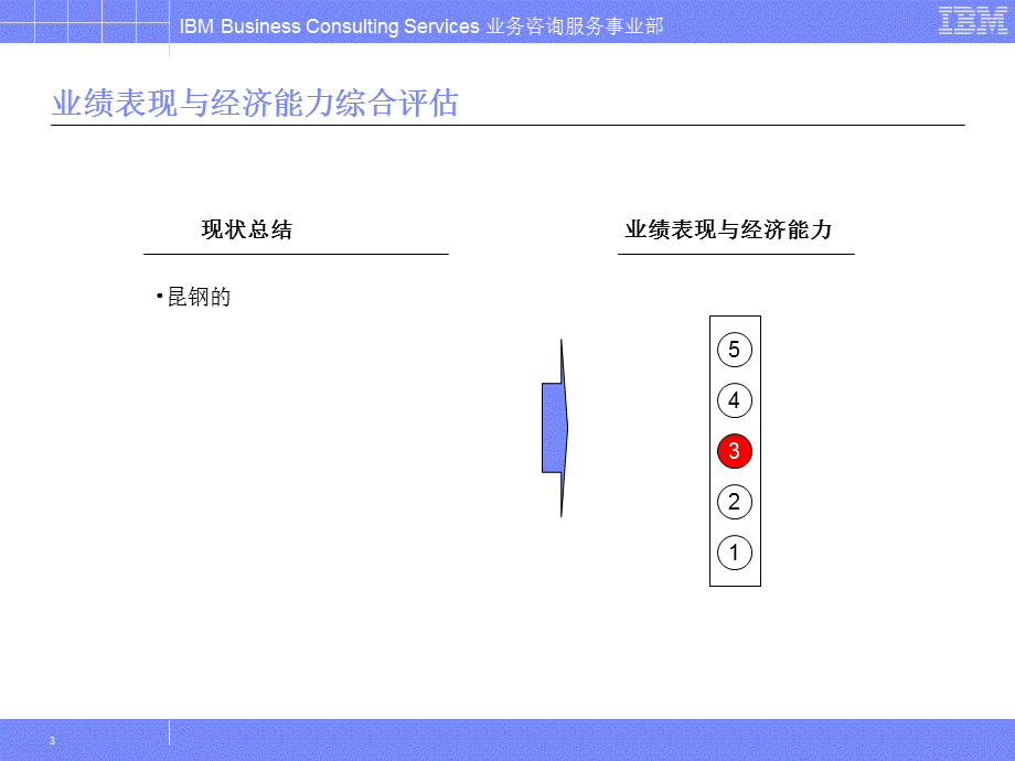 昆钢管理咨询与ERP实施项目IBM.ppt_第3页