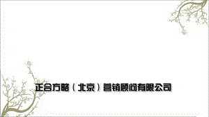 正合方略 -系统性差异化礼品解决方案-NBTY课件.ppt