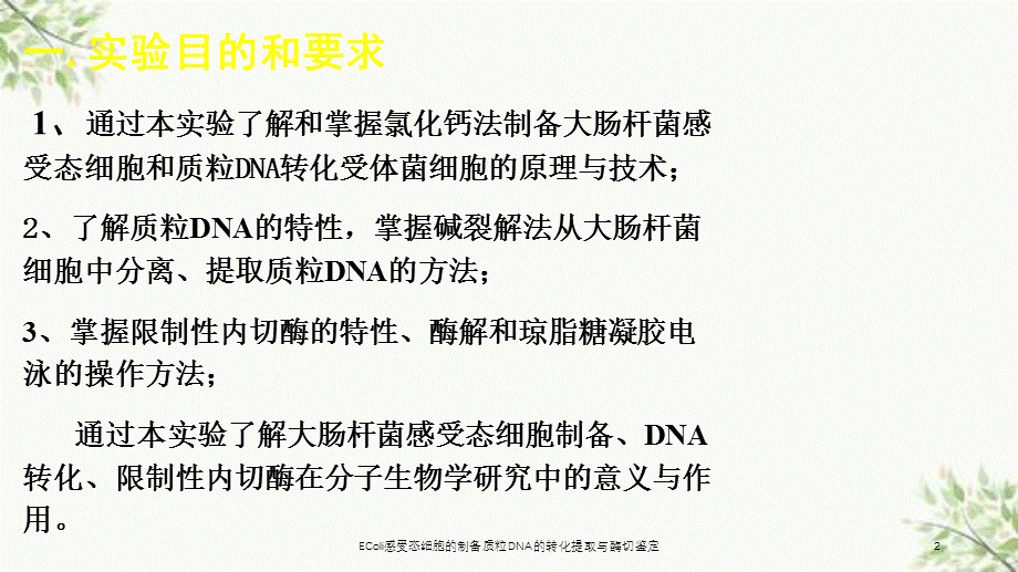 EColi感受态细胞的制备质粒DNA的转化提取与酶切鉴定课件.ppt_第2页