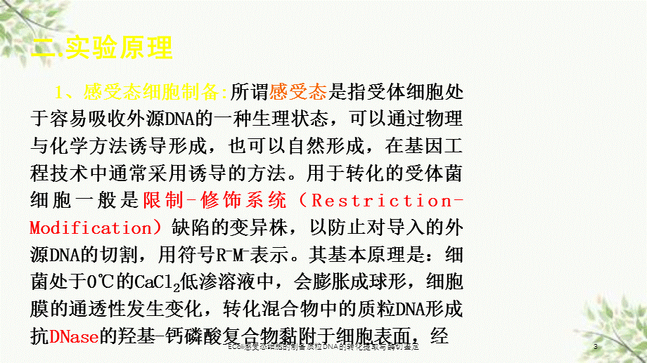 EColi感受态细胞的制备质粒DNA的转化提取与酶切鉴定课件.ppt_第3页