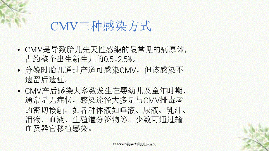 CMVPP65抗原检测及临床意义课件.ppt_第3页