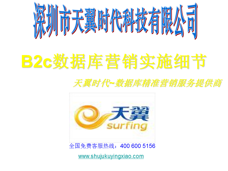 B2c数据库营销实施细节.ppt_第1页