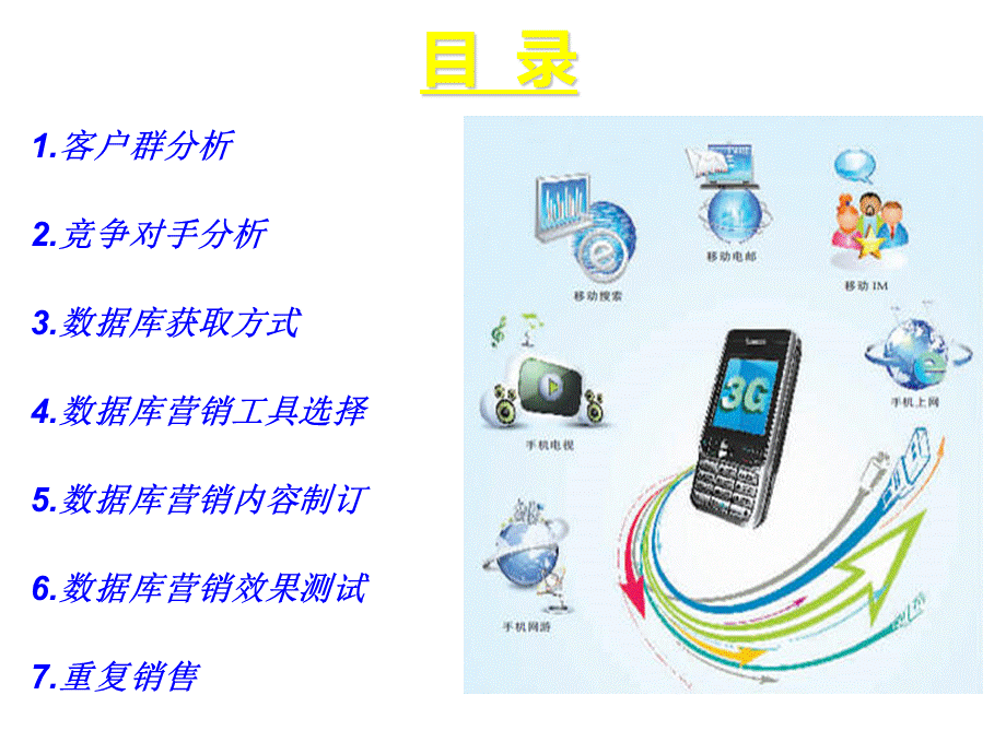 B2c数据库营销实施细节.ppt_第2页