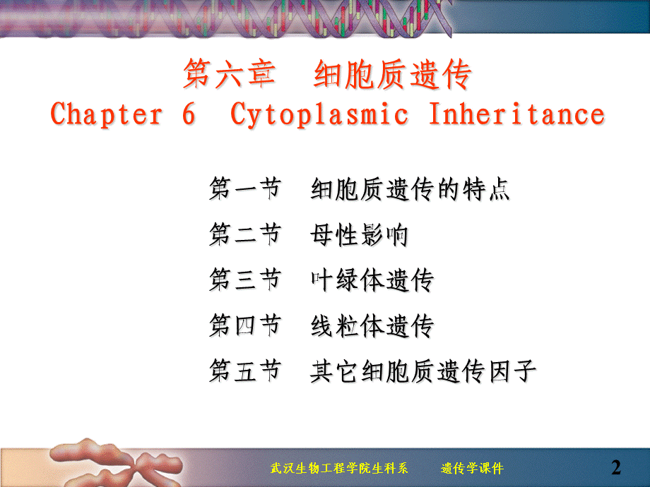 06细胞质遗传遗传学.ppt_第2页