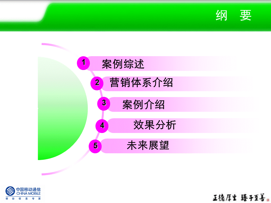 广西移动电子渠道绿色旋风营销方案.ppt_第2页