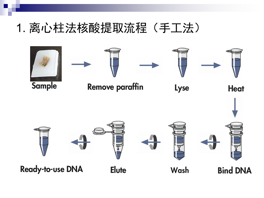 国内外核酸提取仪介绍CC.ppt_第3页